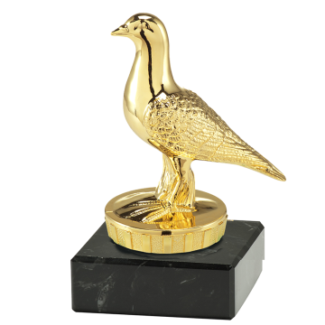 sport trophy h110 pigeon